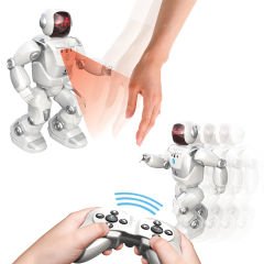 Silverlit Program A Bot X