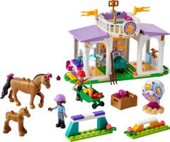 LEGO Friends At Eğitimi 41746