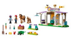 LEGO Friends At Eğitimi 41746