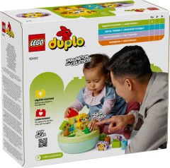 LEGO DUPLO Şekil Ayırıcı Köpek Evi 10441