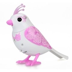 Digibirds Oyuncak Öten Kuşlar Gelin-Damat Seti