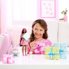 Barbie Parti Paketi Minik Dostumun Doğum Günü Serisi JFG68-JFG71