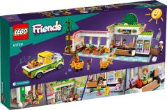 LEGO  Friends Organik Manav 41729