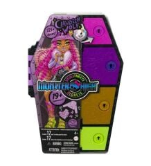 Monster High Gizemli Arkadaşlar HKY61