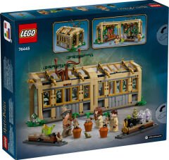 LEGO Harry Potter Hogwarts Şatosu Bitkibilim Dersi 76445