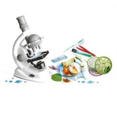 Clementoni Bilim ve Oyun Deney Seti Optik Mikroskop 64551