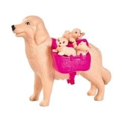 Simba Evi Love Köpek Bakıcısı