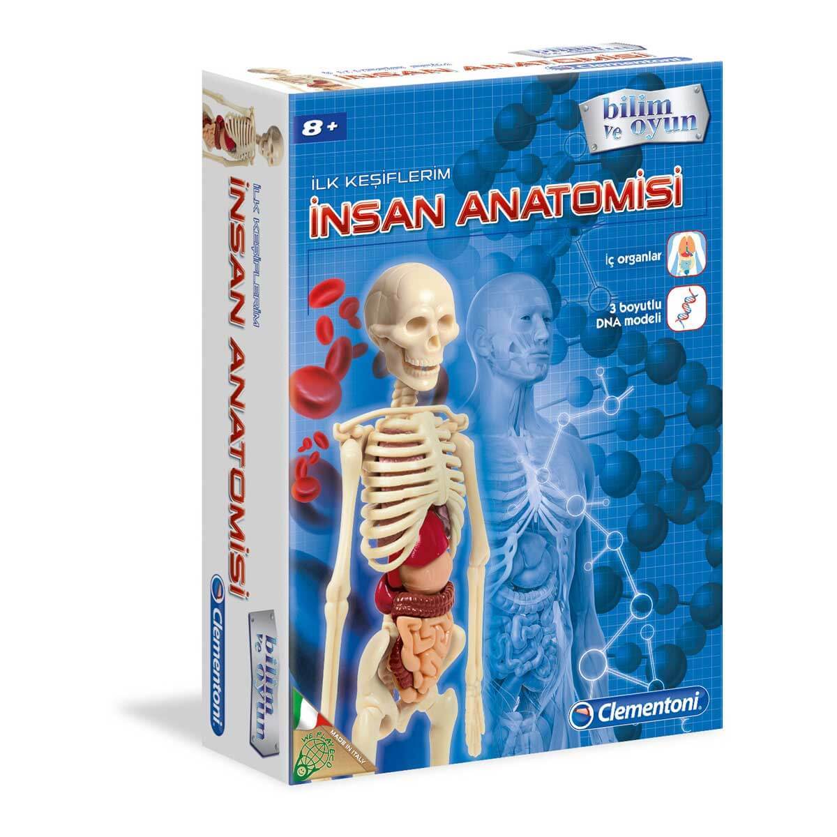 Clementoni İlk Keşiflerim - İnsan Anatomisi