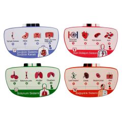 Sunman Sesli İnsan Vücudu Modeli Bilim Seti