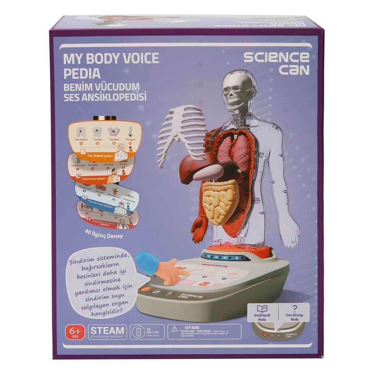 Sunman Sesli İnsan Vücudu Modeli Bilim Seti