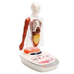 Sunman Sesli İnsan Vücudu Modeli Bilim Seti