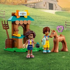 LEGO Tbd Character House 41730