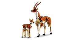LEGO Creator Vahşi Safari Hayvanları 31150