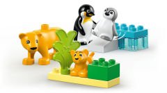 LEGO DUPLO Kasabası Vahşi Hayvan Aileleri Penguenler ve Aslanlar10442