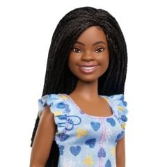 Barbie Fashionistas Büyüleyici Parti Bebekleri FBR37-HYK14