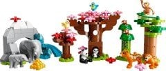 LEGO Duplo Vahşi Asya Hayvanları 10974