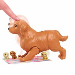 BARBİE YENİDOĞAN KÖPEKLER OYUN SETİ HCK75