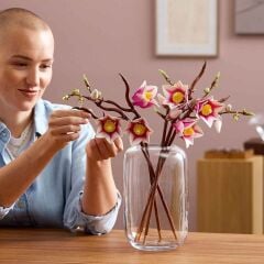 LEGO Botanicals Manolya Dalları 11510