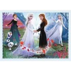 Trefl Puzzle Çocuk 4In1 Disney Frozen 2 Magic In The Forest