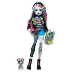 MONSTER HIGH Acayip Havalı Arkadaşlar  Frankie Stein HXH73
