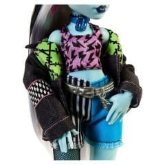 MONSTER HIGH Acayip Havalı Arkadaşlar  Frankie Stein HXH73