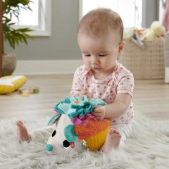 Fisher Price Sevimli Arkadaşım Kirpi HBP42