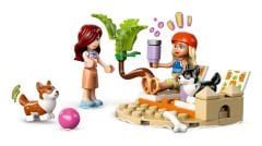 LEGO Friends Sörfçü Köpekler ve Scooter Macerası 42641