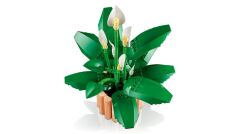 LEGO  Botanicals Barış Çiçeği 11504