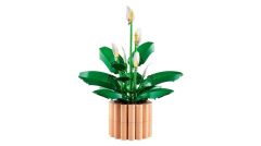 LEGO  Botanicals Barış Çiçeği 11504