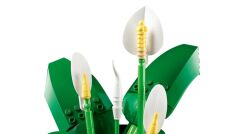 LEGO  Botanicals Barış Çiçeği 11504