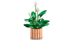 LEGO  Botanicals Barış Çiçeği 11504