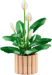 LEGO  Botanicals Barış Çiçeği 11504