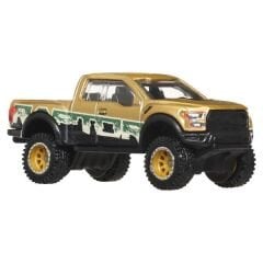 Hot Wheels Premium Car Culture Off Road 2017 Ford F-150 Raptor JBK70