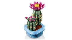 LEGO Botanicals Çiçekli Kaktüs 11509