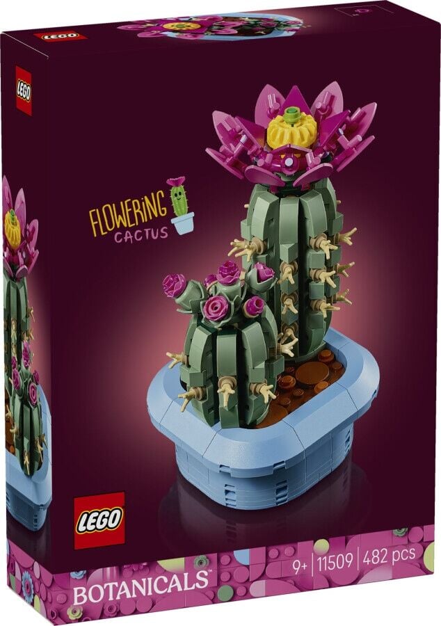LEGO Botanicals Çiçekli Kaktüs 11509