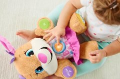 Fisher Price Türkçe Eğitici Köpekçiğin Kız Kardeşi FPP83