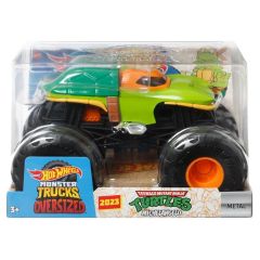 Hot Wheels Monster Trucks 1:24 Arabalar HKM48