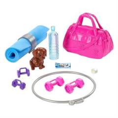 Barbie Wellness Barbienin Spa Günü Bebekleri GJG57