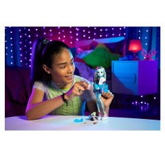 Monster High Ana Karakter Bebekler HHK53